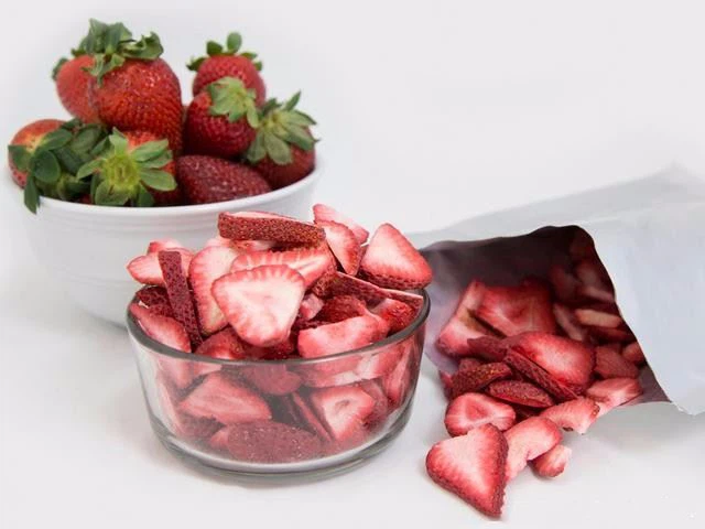  Vacuum Food Freeze Dryer manufacturers